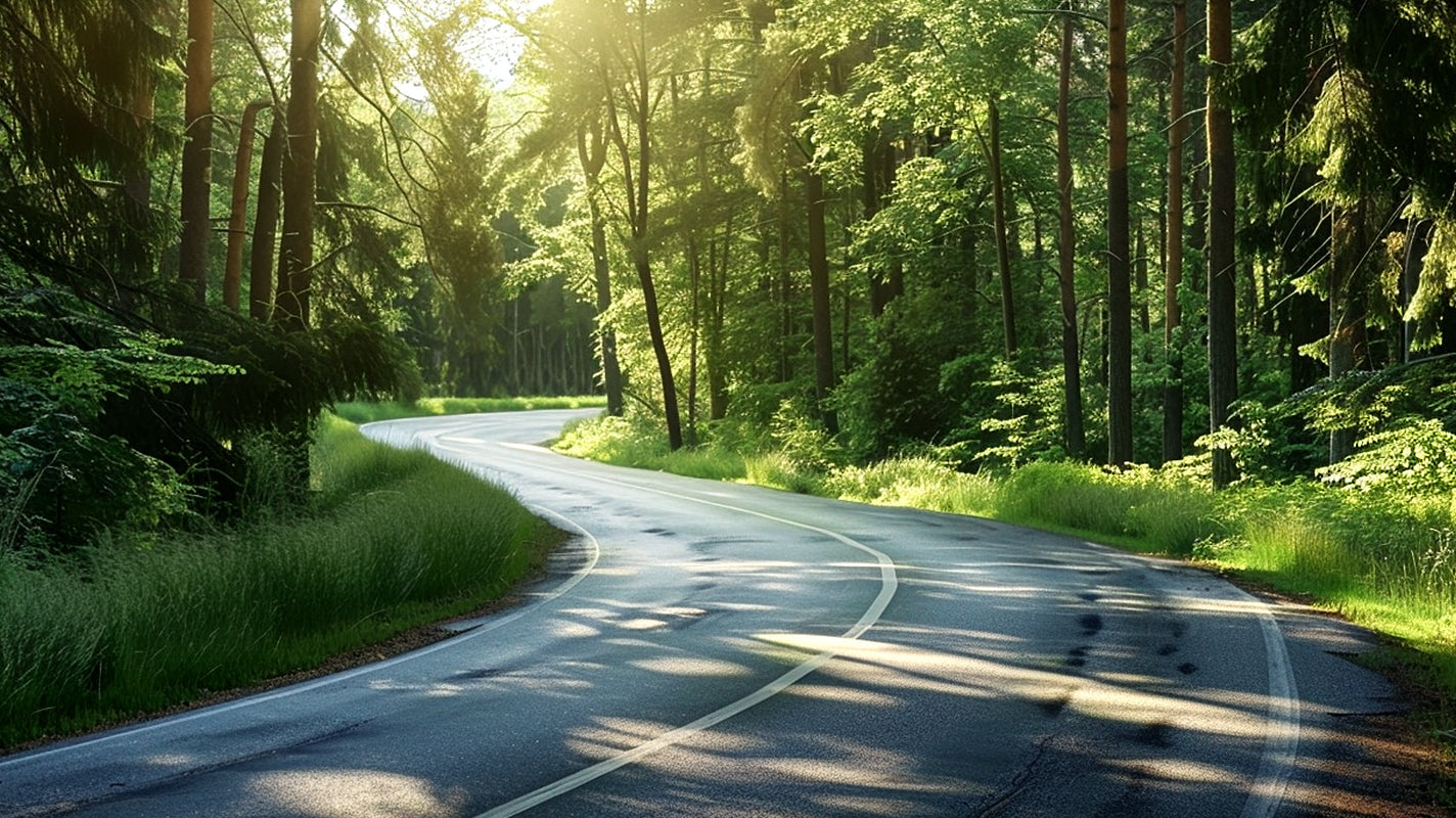 California Cycling Adventures: 8 Scenic Destinations