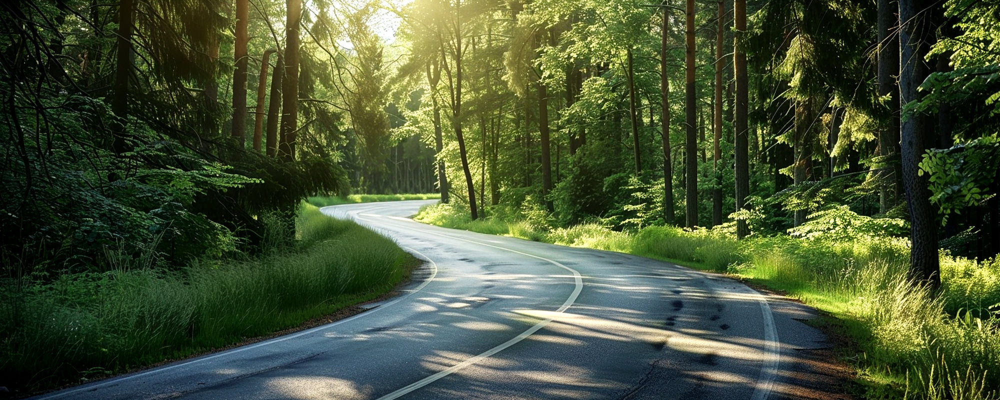 California Cycling Adventures: 8 Scenic Destinations