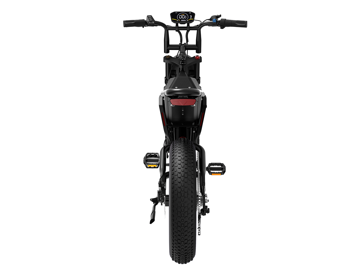 Powerful 750W（peak 1200w） E-Bike with 100+ Mile Range for Ultimate Riding Freedom Experience unmatched performance with this premium e-bike featuring a robust 750W（peak 1200W) motor (95Nm torque) that conquers steep hills with ease. The long-range 100+ mile battery eliminates range anxiety, making it perfect for extended commutes and weekend adventures. Built for all terrains, the fat tires provide exceptional stability on city streets, gravel paths, and dirt trails. The intuitive pedal-assist system ensure